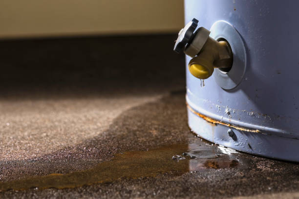 Best Flood restoration services  in Boulder City, NV