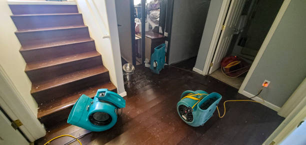 Best Local water damage restoration  in Boulder City, NV