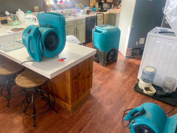 Best Professional water damage repair  in Boulder City, NV