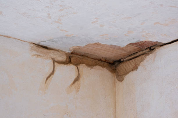 Best Residential water damage restoration  in Boulder City, NV