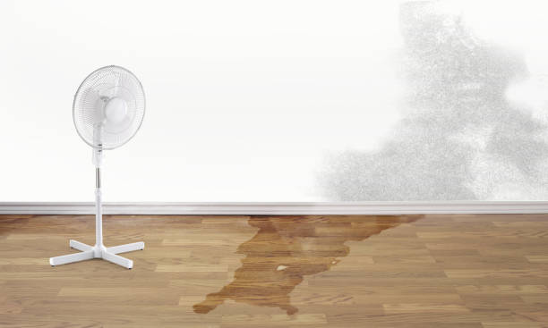 Best Sewage cleanup and water damage restoration  in Boulder City, NV