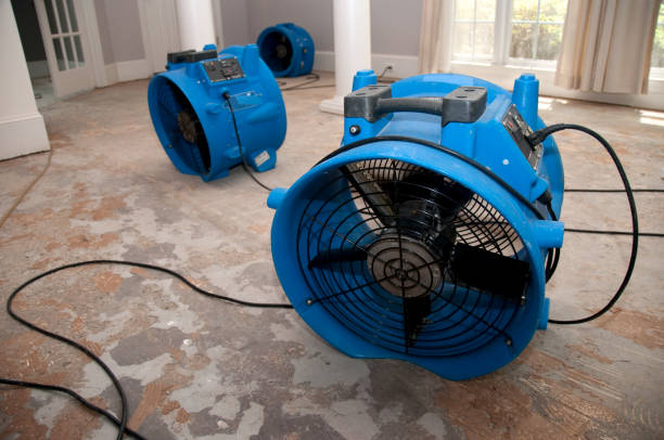 Boulder City, NV Water damage restoration Company
