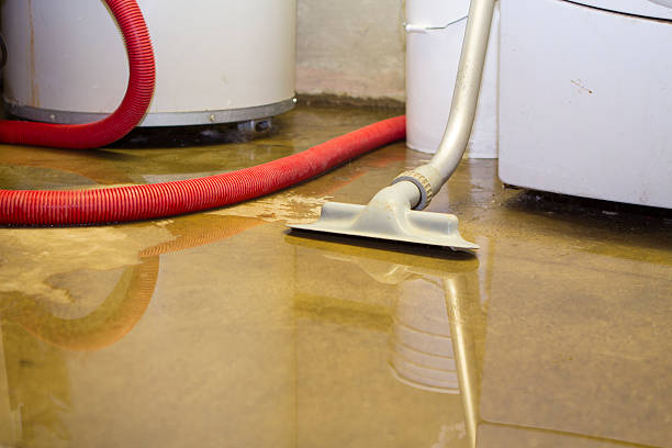 Best Commercial water damage restoration  in Boulder City, NV