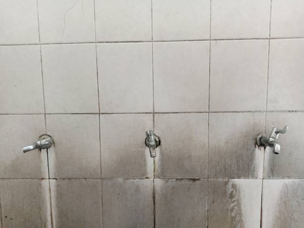 Best Water damage restoration cost  in Boulder City, NV