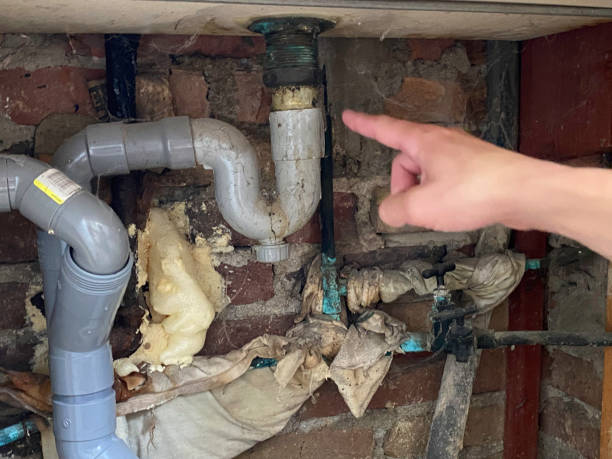 Best 24/7 water damage repair  in Boulder City, NV